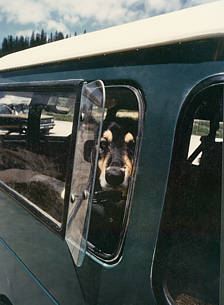 fj40b.jpg