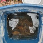 mikaelasmuttmotel.org