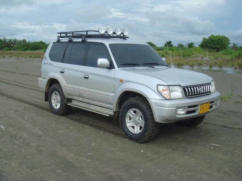 284520080.jpg