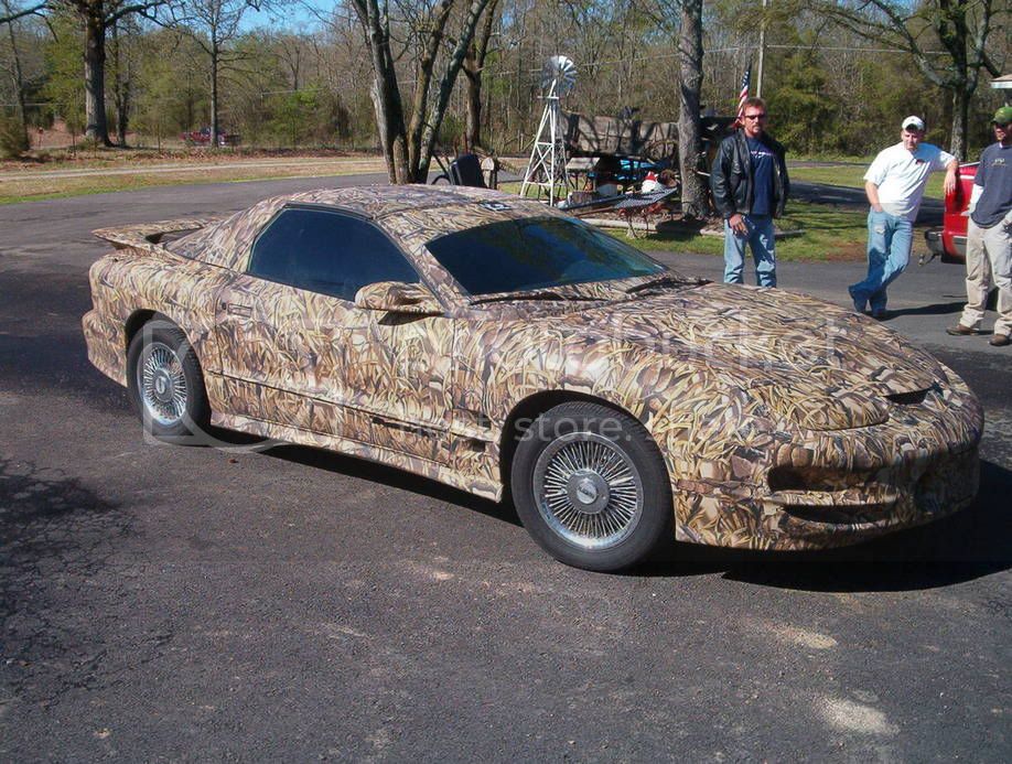 Redneckfirebird.jpg