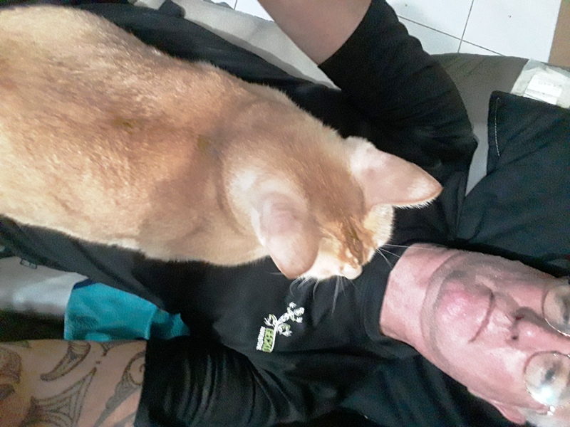 20181110_185114.jpg