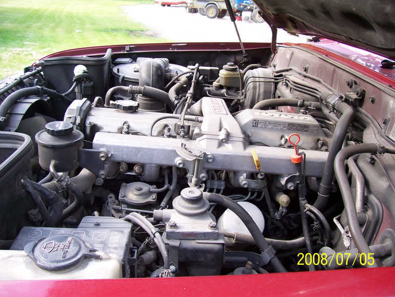 LC_3240.jpg