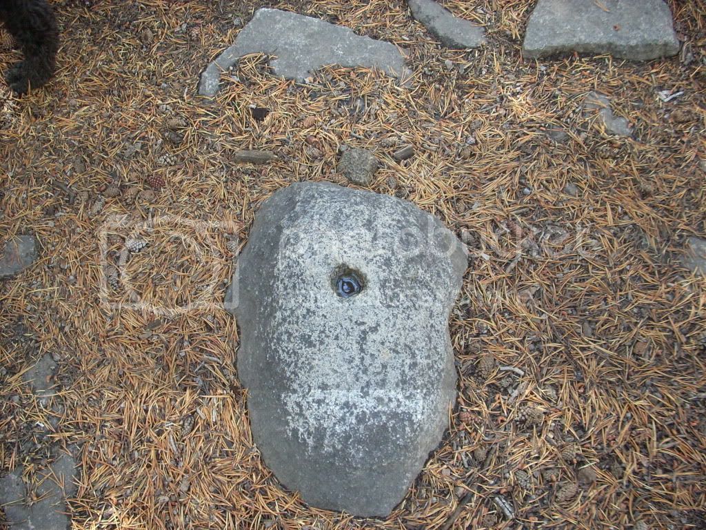 DSCN2260.jpg