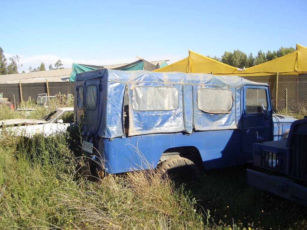 DSC01723.jpg