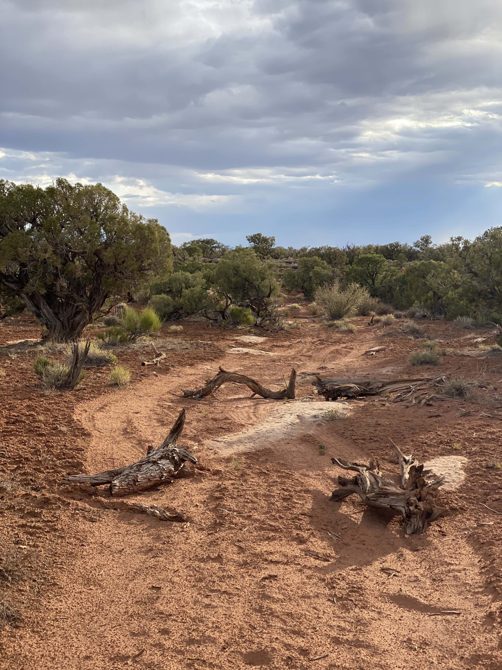 road-debris-1-scaled.jpg