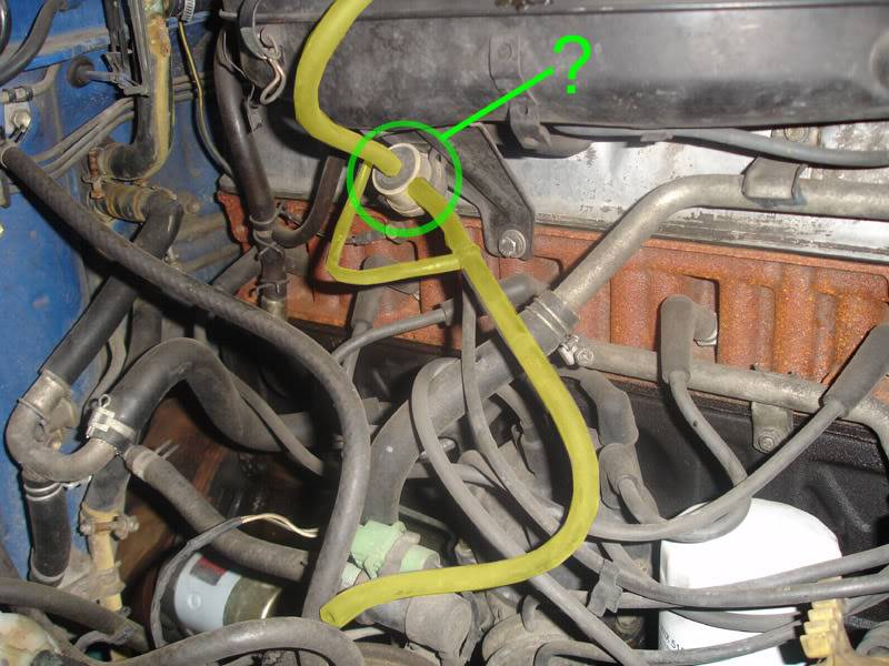 mysteryhose01.jpg