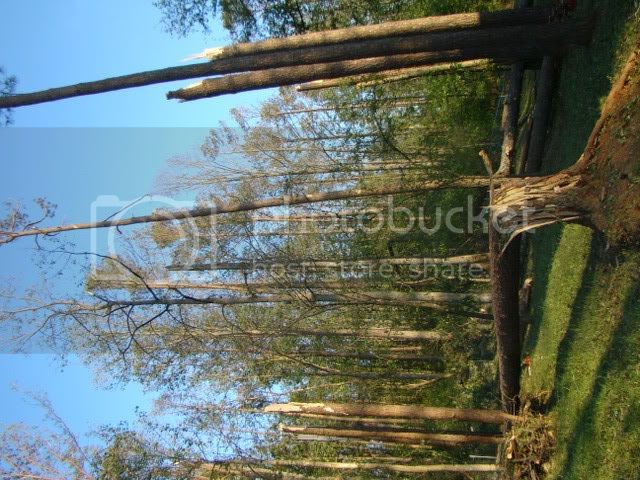 DSC01941.jpg