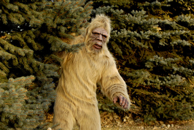 bigfoot.jpg