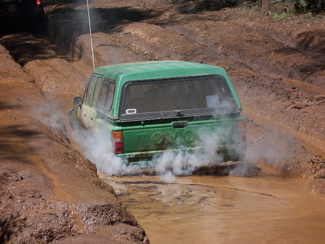 Toolangi,5-November-2005,100_0881,640x480.jpg