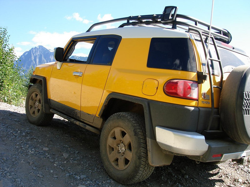 82281123-L.jpg