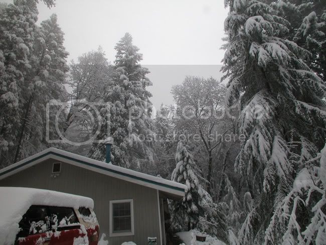 snowyday1.jpg