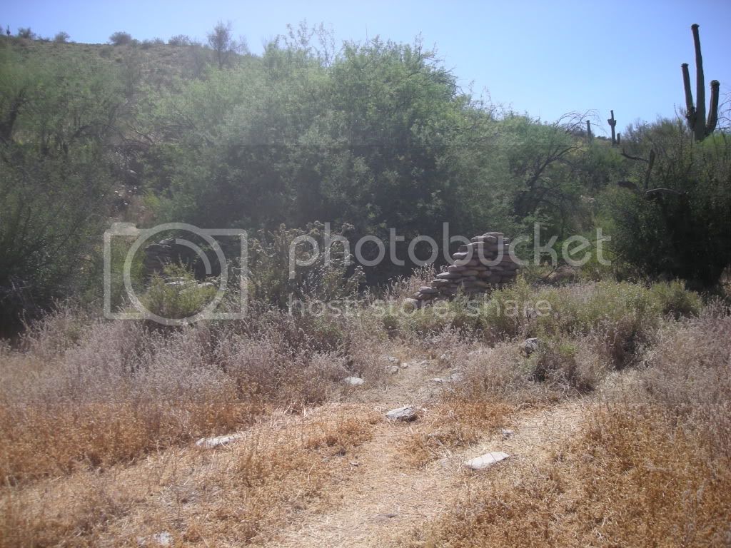 DSCN3945.jpg