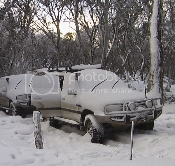 snow.jpg