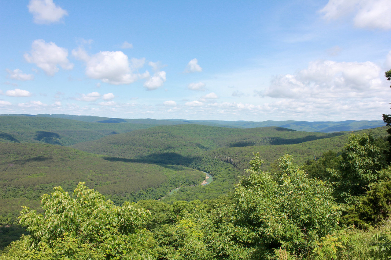 IMG_6608-X2.jpg