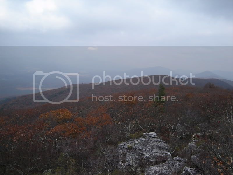 DSC01579.jpg
