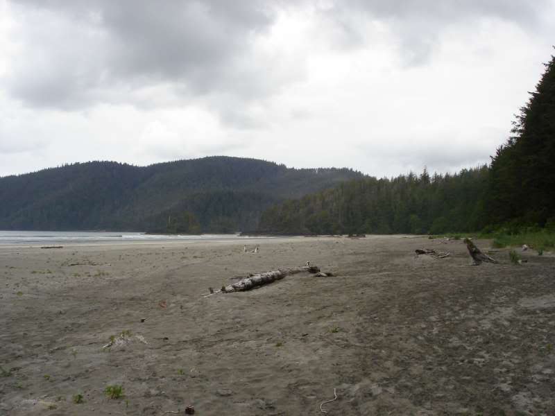 DSC03711-800.jpg