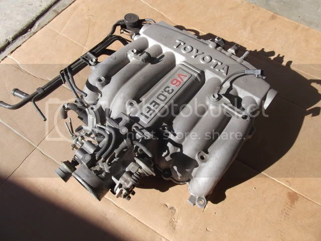 DSCF0217.jpg