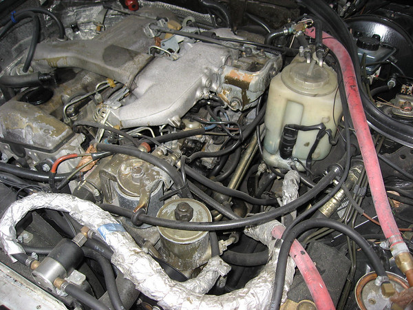 287302792_V7CCp-M-1.jpg