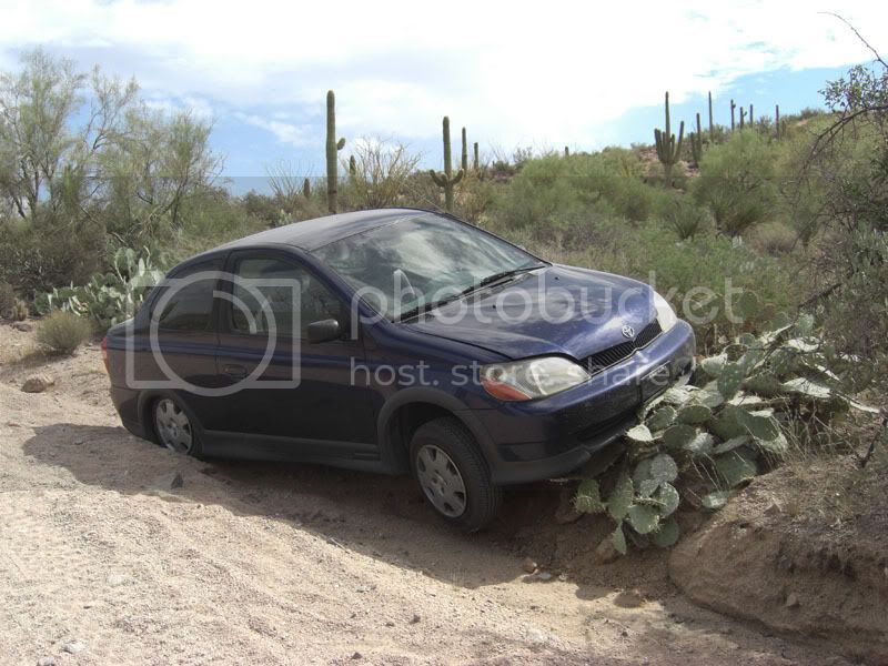 yaris-1.jpg