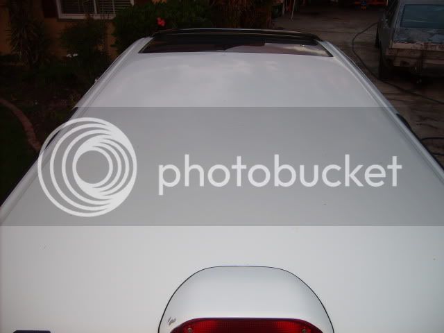 S5000760.jpg