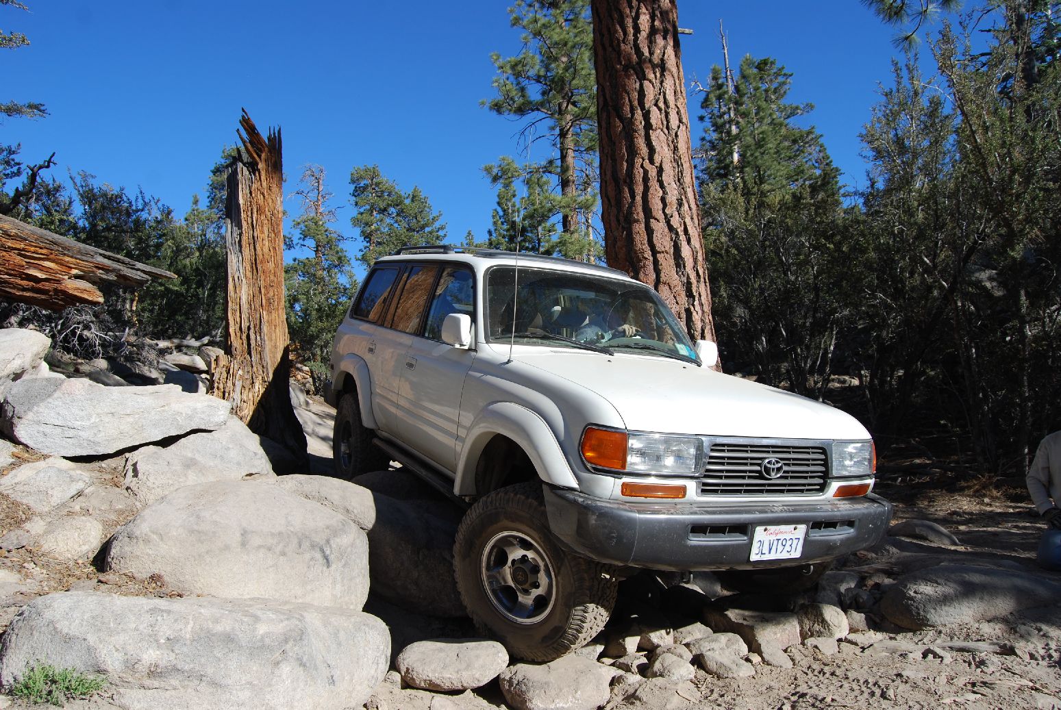 BigBear832.jpg