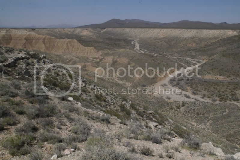 DSC_0294.jpg