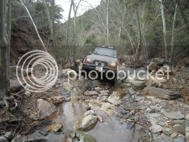 IMG_0403_1.jpg