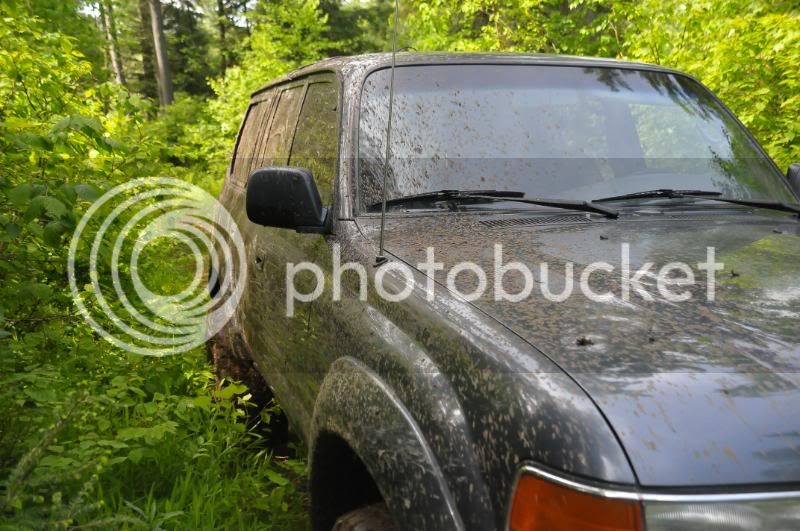 DSC_5299.jpg