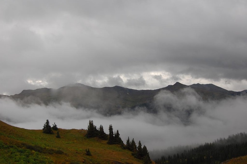 DSC_7795.jpg