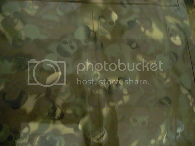 skullcamopaint028.jpg