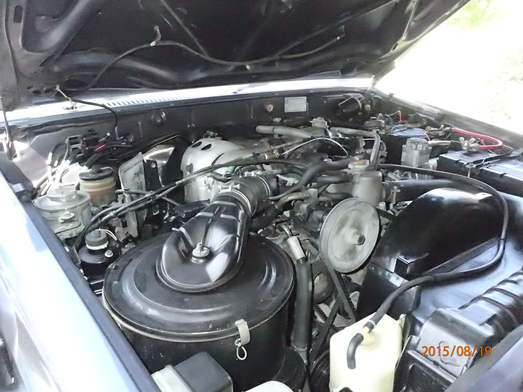 P8190550_zps6z1vdxll.jpg