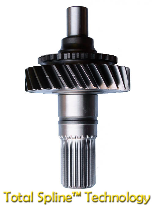 228t_TS_input_500.jpg