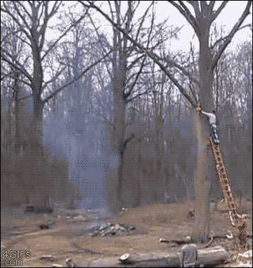 VdGs4Og.gif