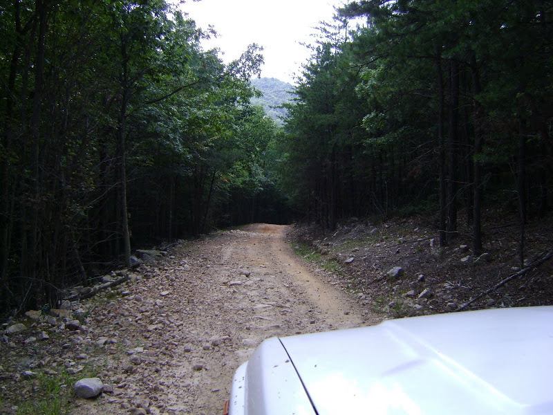 DSC02386.JPG
