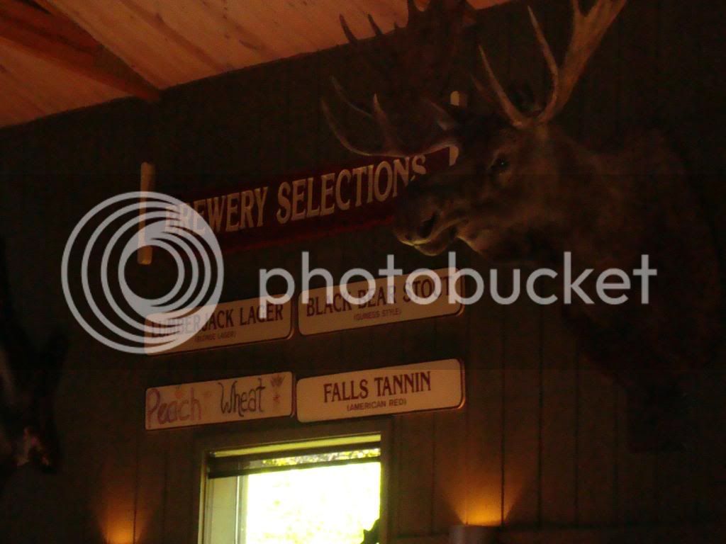 DSC02114.jpg