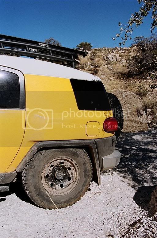 chiva100169small.jpg