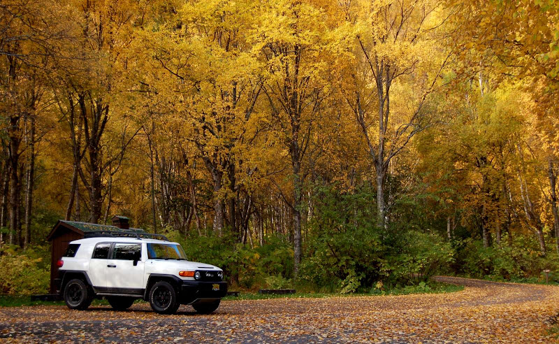 Fall_12-1600.jpg