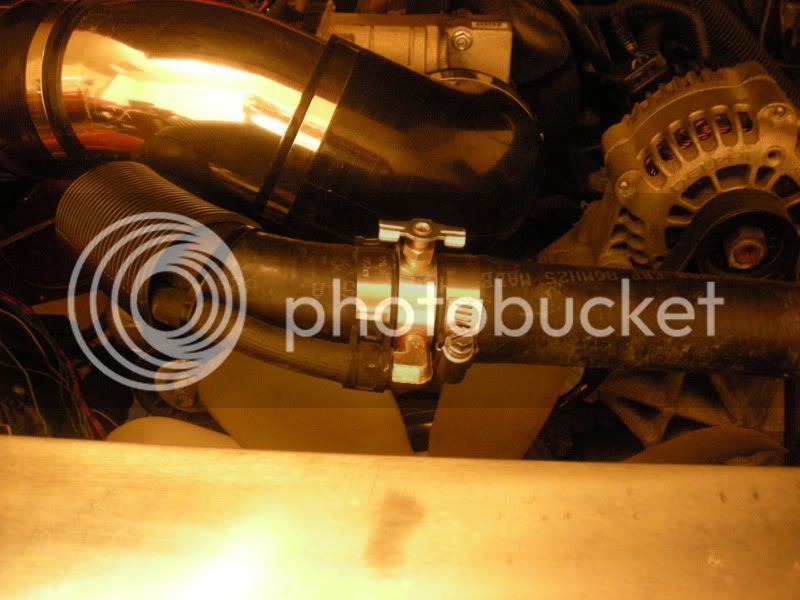 DSCN4538.jpg