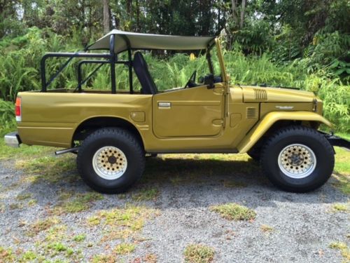 I'm thinking of buying this so I can burn it with fire