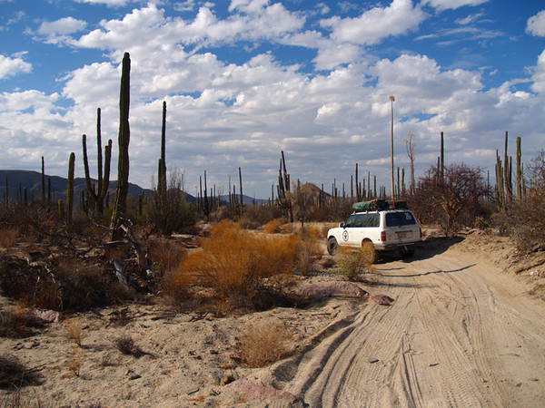 222499847-M.jpg