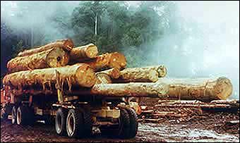logtruck-big.jpg