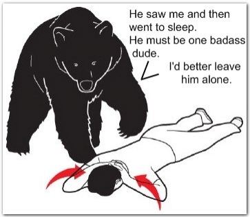 bear-attack.jpg