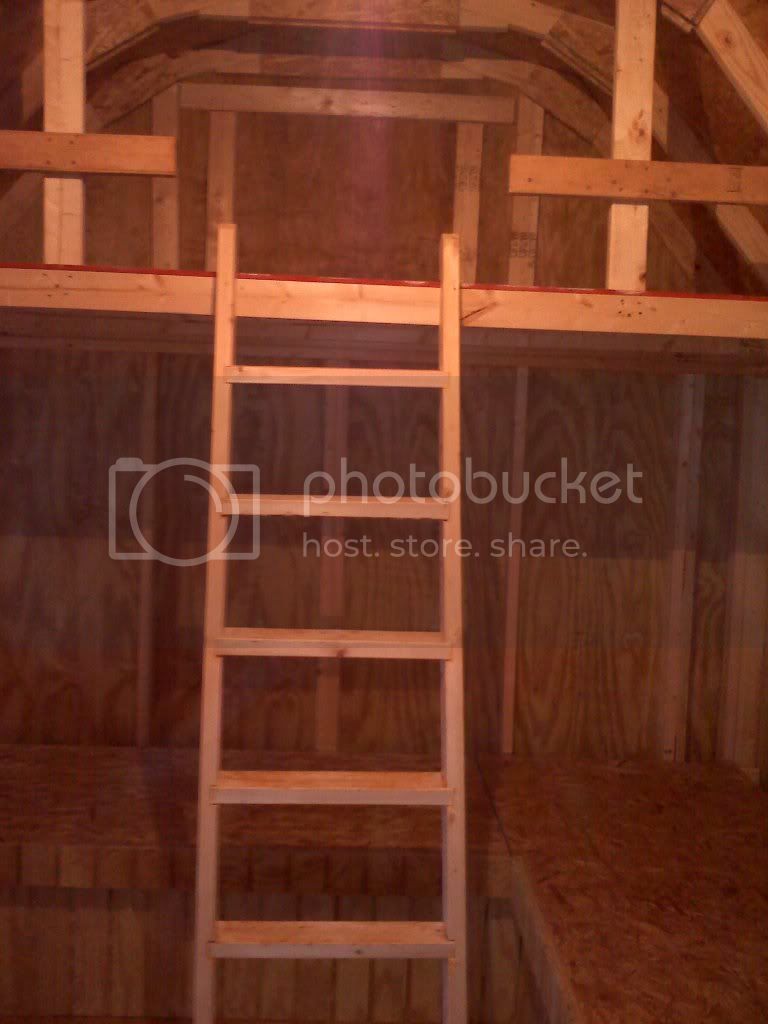 cabinwithladder.jpg