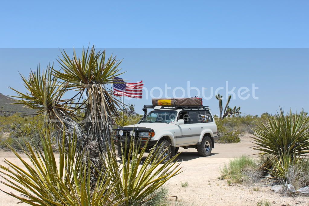 IMG_0070.jpg