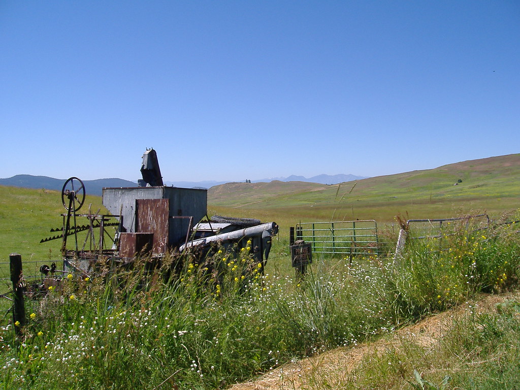 6002415478_14e2d74bc9_b.jpg