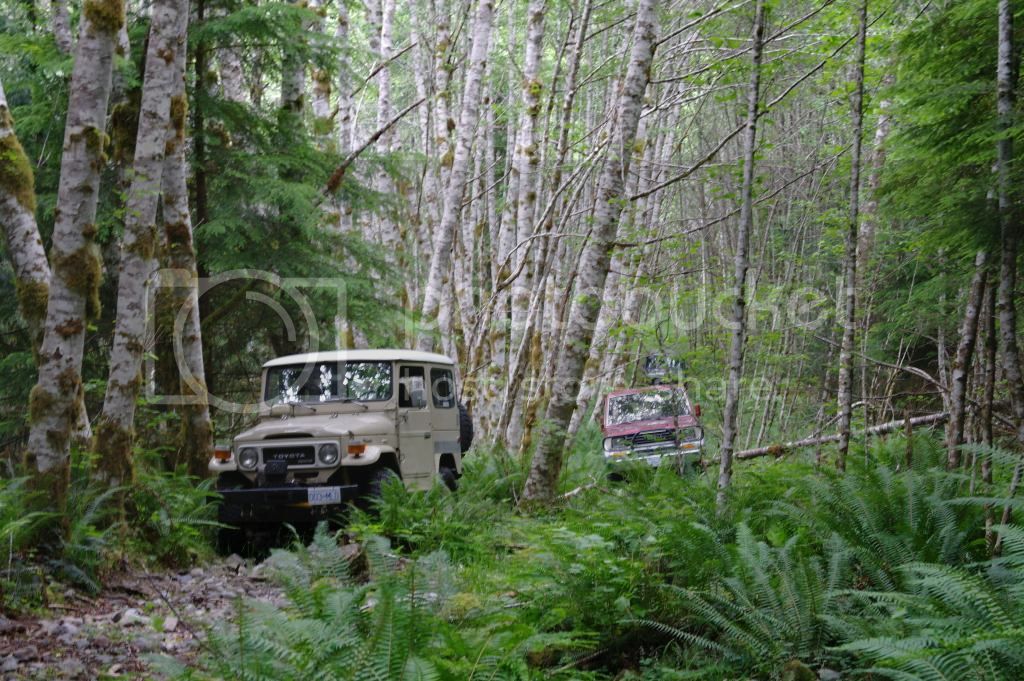SAM_0198_zps9e491ccc.jpg