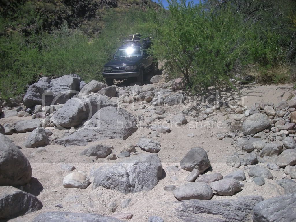 DSCN3939.jpg