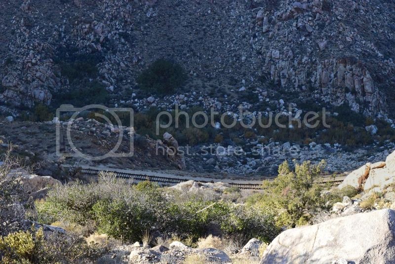 DSC_0563.jpg