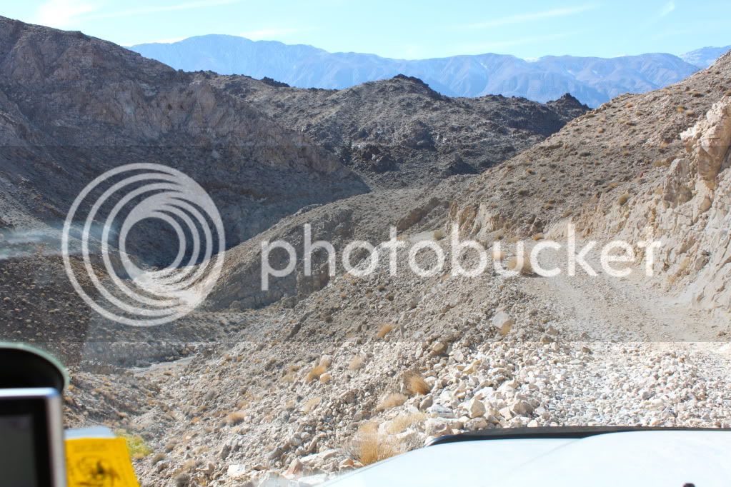 IMG_7288.jpg