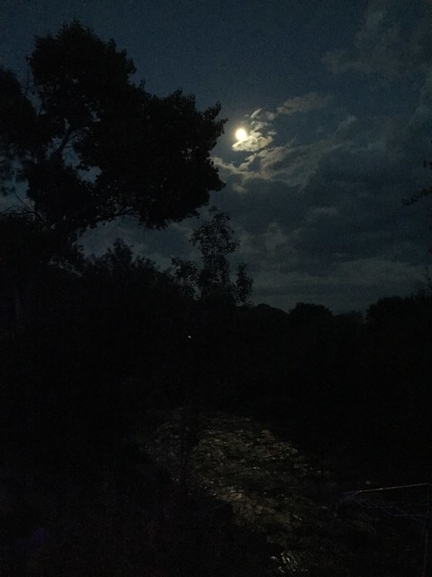 36876038632_69d255009e_z.jpg